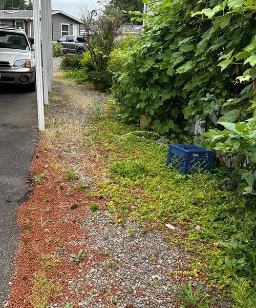 Landscaping Maintenance in Ballard 